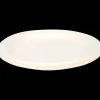 Borden van bagasse | Action NL