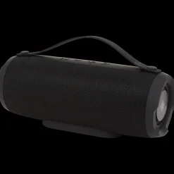 Intempo draadloze speaker | Action NL