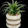 Kunstvetplantje in pot | Action NL