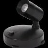 Planten spotlight | Action NL